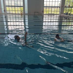 Img 2f9e83c095833fbbecb16ba9113e778b V