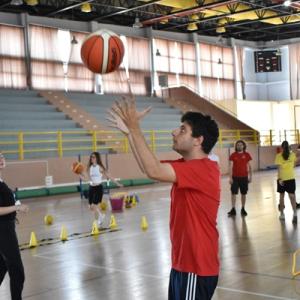 494702237 720704846978527 8728400822846008895 N