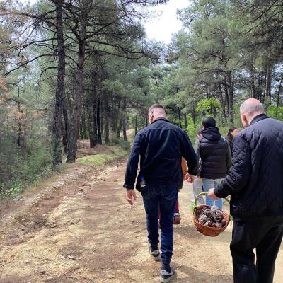  4 20220506 1296425190