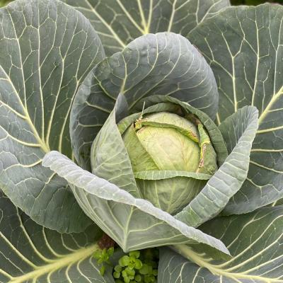  4 20220413 1494507242