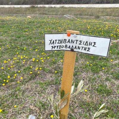  6 20220413 1078542365