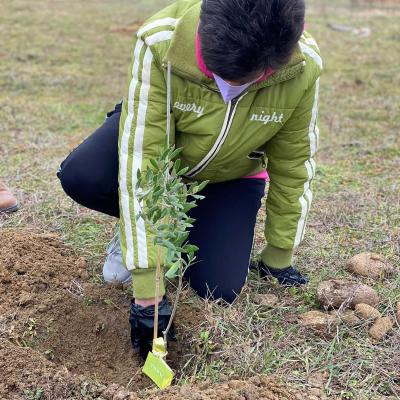  7 20220413 1996210168