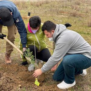 ΔΕΝΔΡΟΦΥΤΕΥΣΗ